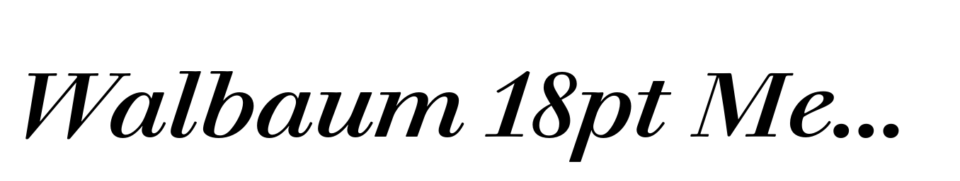 Walbaum 18pt Medium Italic